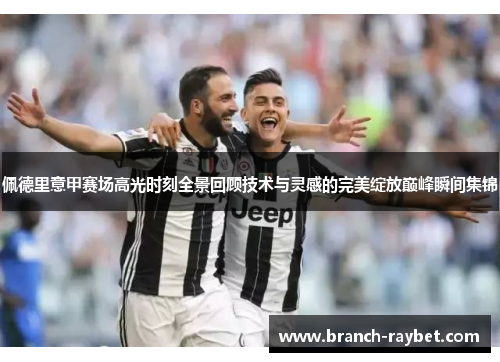 佩德里意甲赛场高光时刻全景回顾技术与灵感的完美绽放巅峰瞬间集锦